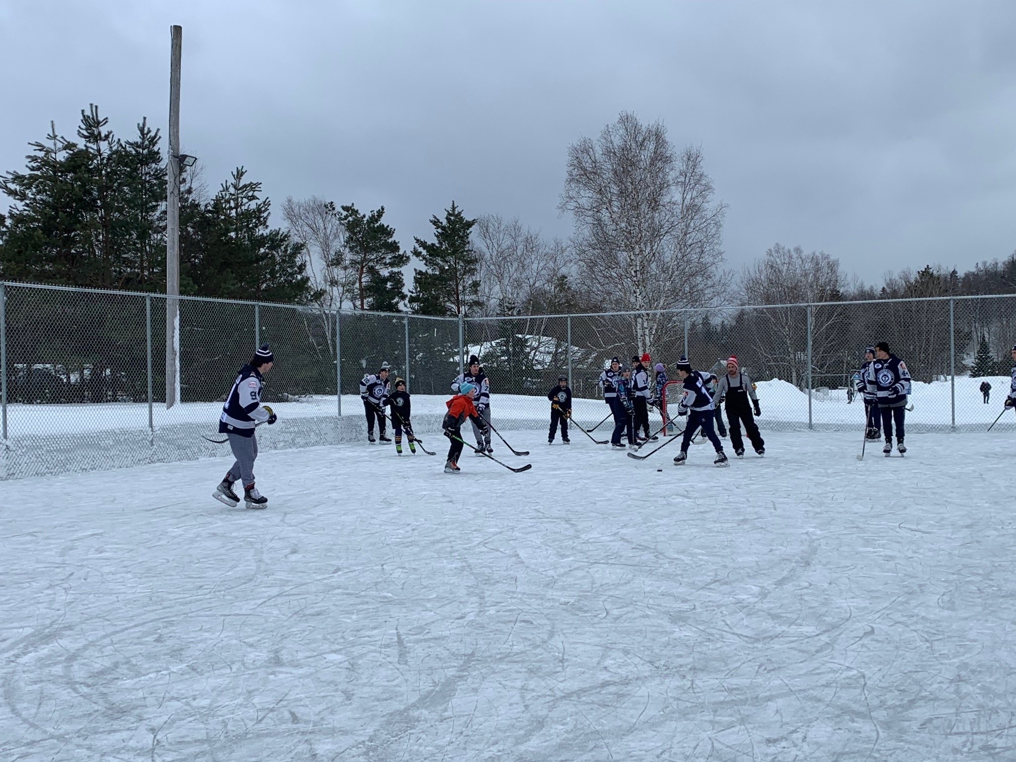 Harcourt Outdoor Rink, grey day, lots of people playing shinny on the ice.